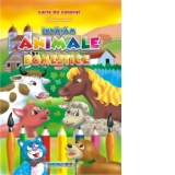 Invatam animale domestice - Carte de colorat romana-engleza (format B5)