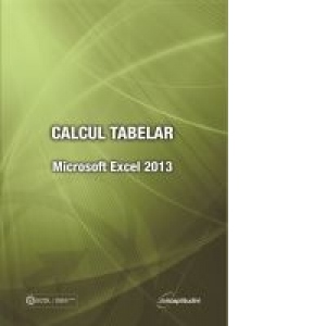 Calcul tabelar - Microsoft Excel 2013