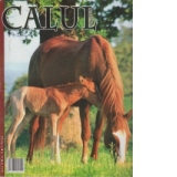 Revista Calul Magazin - Anul II, Nr. 8
