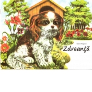 Zdreanta (Carte ilustrata color)