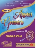 Auxiliar de Algebra si Geometrie pentru clasa a VII-a semestrul II, editie 2014