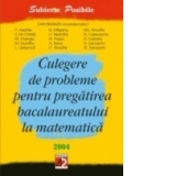 CULEGERE DE PROBLEME PENTRU PREG&#258;TIREA BACALAUREATULUI LA MATEMATIC&#258; 2004