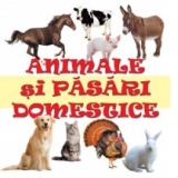Minialbum Animale si Pasari Domestice