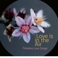 Love Is in the Air