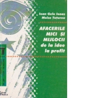 Afacerile mici si mijlocii - de la idee la profit -