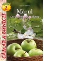 Marul - Cultivare si retete culinare
