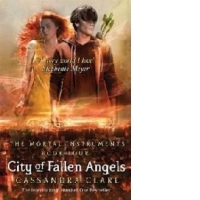 City of Fallen Angels