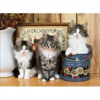 PUZZLE 1500 PIESE - PISICI NORVEGIENE - 1989