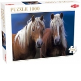 Puzzle 1000 piese Doi cai
