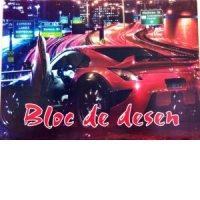 Bloc desen A4 120g 12 file(policromie)