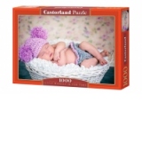 Puzzle 1000 piese Little Miracle in Pom Poms 102730