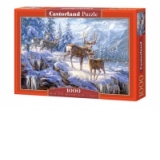 Puzzle 1000 piese Winter Mountain Light 102501