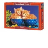 Puzzle 500 piese Kittens in Bowls 51212
