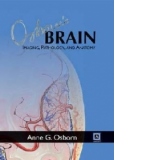 Osborns Brain - Imaging, Pathology and Anatomy