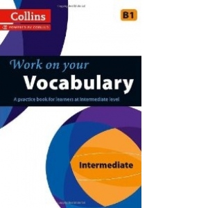 Work On Your Vocabulary: Intermediate B1