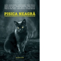 Pisica neagra