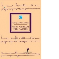 Cinci plimbari prin cartier (volumul I)