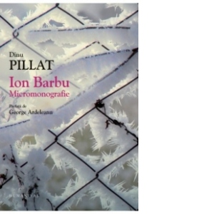 Ion Barbu. Micromonografie