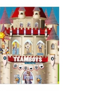 Teamboys: Knights Castles