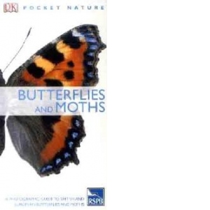 Butterflies and Moths