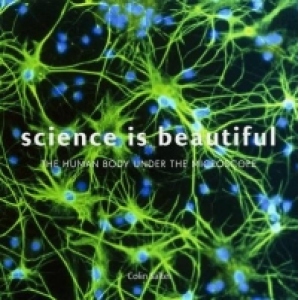 Science Is Beautiful - The Human Body