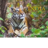 India: Land of Tigers and Temples