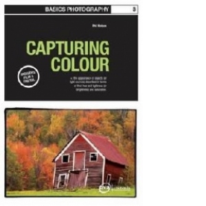 Basics Photography 03 Capturing Colour