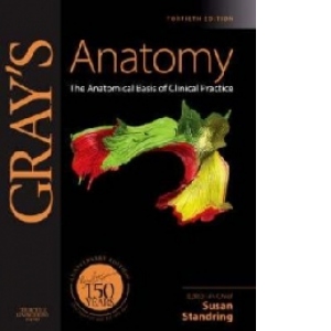 Grays Anatomy 40th
