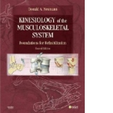 Kinesiology Of Musculoskeletal System