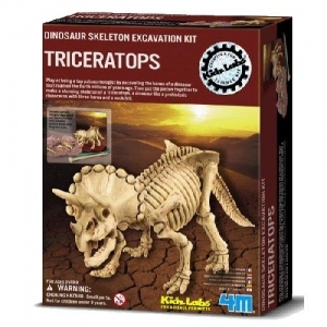 Set Arheologic Triceratops