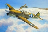 MICRO WINGS P-40E WARHAWK