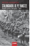 Stalingradul de pe Yangtze. Batalia pentru Shanghai – 1937