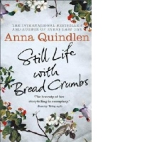 Still Life with Bread Crumbs