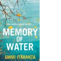 Memory of Water