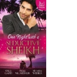 One Night with a Seductive Sheikh