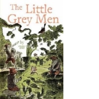 Little Grey Men