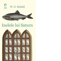 Inelele lui Saturn