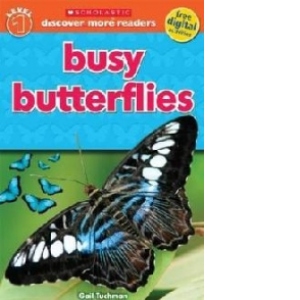 Busy Butterflies