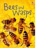 Bees & Wasps