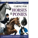 Wonders of Learning: Caring for Horses and Ponies