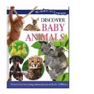 Wonders of Learning: Discover Baby Animals