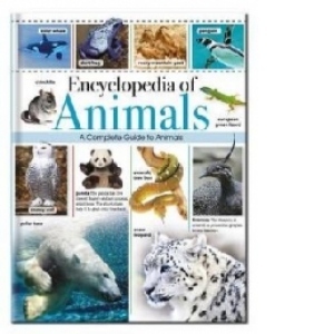 Omnibus - Great Animal Encyclopedia