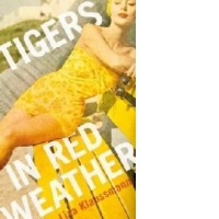 Tigers in Red Weather