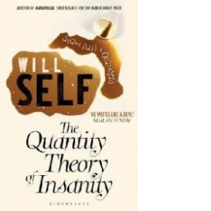 Quantity Theory of Insanity