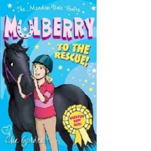 Meadow Vale Ponies: Mulberry to the Rescue!