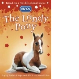 Lonely Pony
