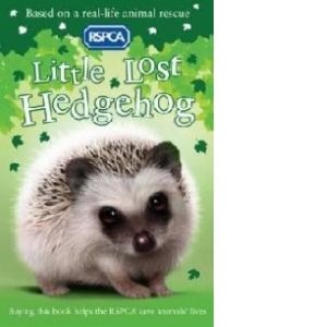 Little Lost Hedgehog
