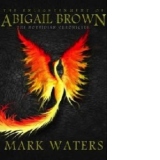 Enlightenment of Abigail Brown