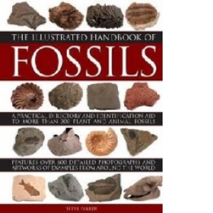 Illustrated Handbook of Fossils