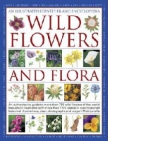 Illustrated Identifier and Encyclopedia